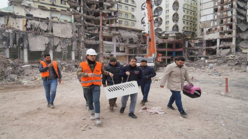 Diyarbakır'da 'ağır hasarlı' binadan kurtarılan kedi sayısı 8 oldu