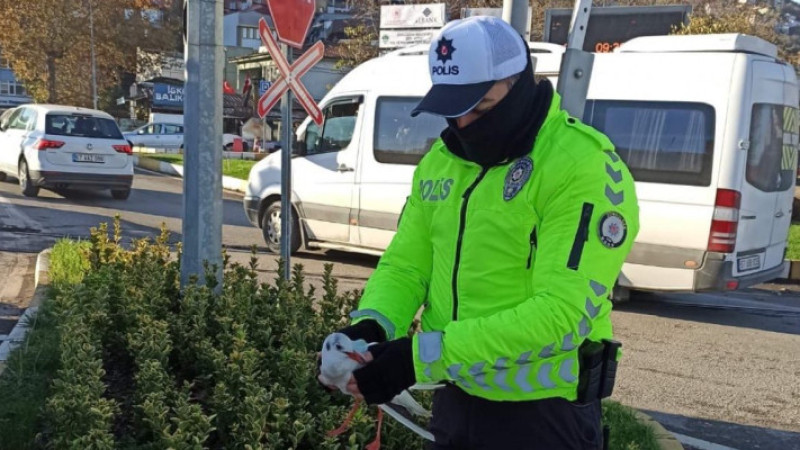 Zonguldak Polisinden, yaralı martıya yardım eli!