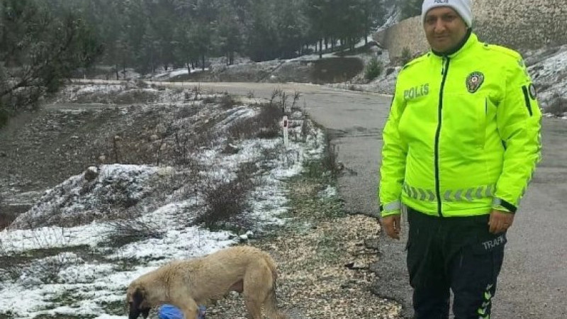 Adıyaman Polisi Patili Dostları Unutmadı