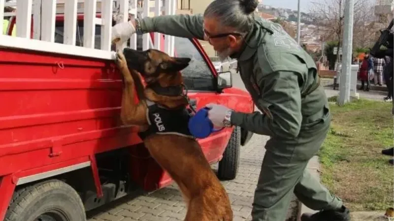 Narkotik köpeği Larissa yaşamını yitirdi